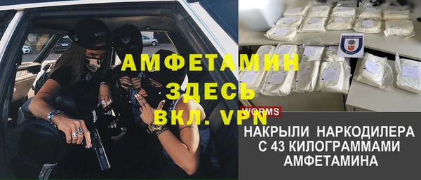 индика Мегион