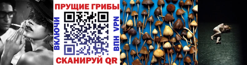 закладка гидра ONION Псилоцибиновые грибы Magic Shrooms Новочебоксарск