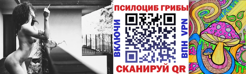 Псилоцибиновые грибы ЛСД Новочебоксарск